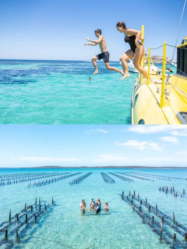 澳洲海灘度假怎麼玩，打卡澳洲最佳海灘