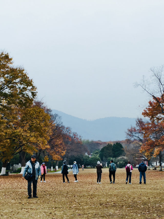 鐘山風景區