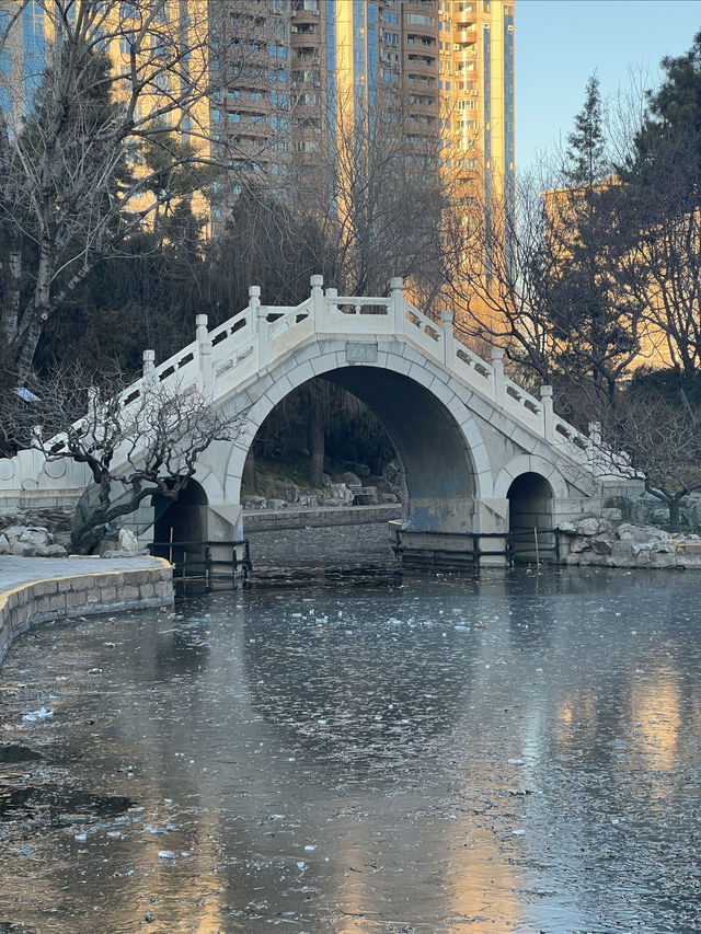 鬧中取靜的休閒之所，團結湖公園