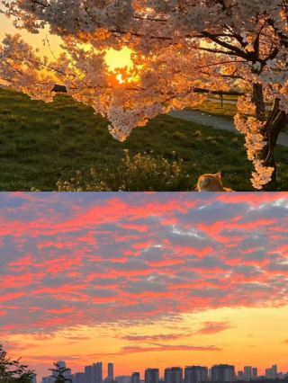 Jinding Mountain National Forest Park in Zhumadian is a great place to visit