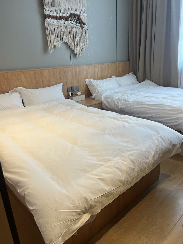 上海探店可以摸貓的森系治癒躺平青年旅舍！