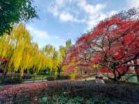 靜安區歷史最悠久的公園 - 閘北公園 - 我還是第一次去呢！