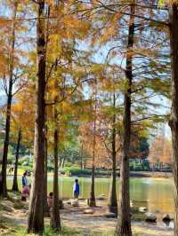 深圳香蜜公園