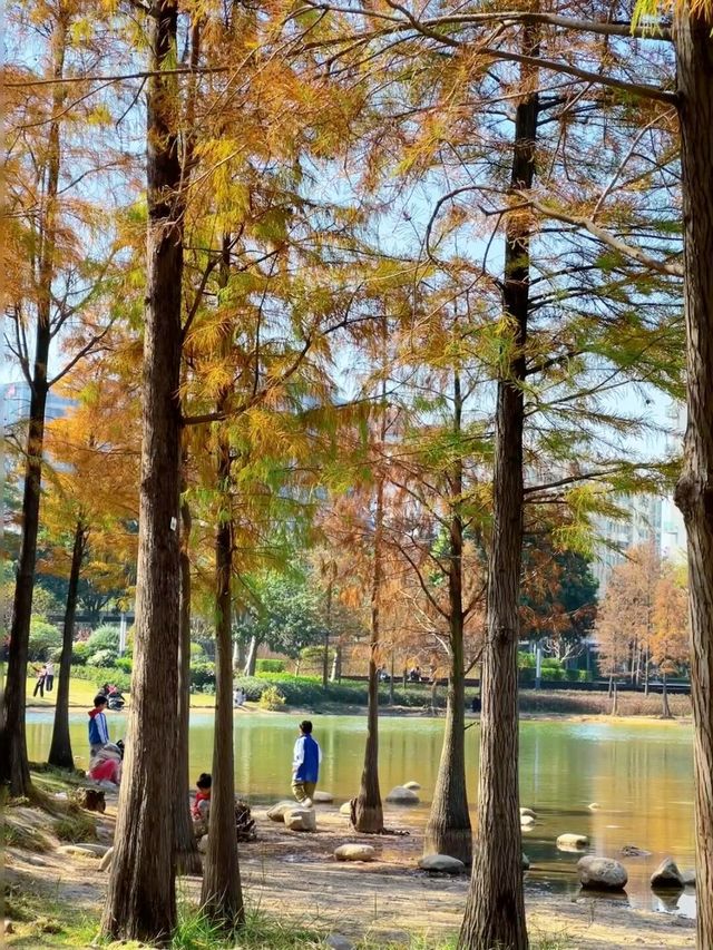 深圳香蜜公園