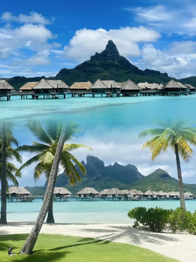 Tahiti is a paradise as beautiful as an oil painting, full of mysterious tropical colors!