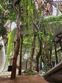 為了這家鳥巢餐廳專門飛了一趟Tulum…