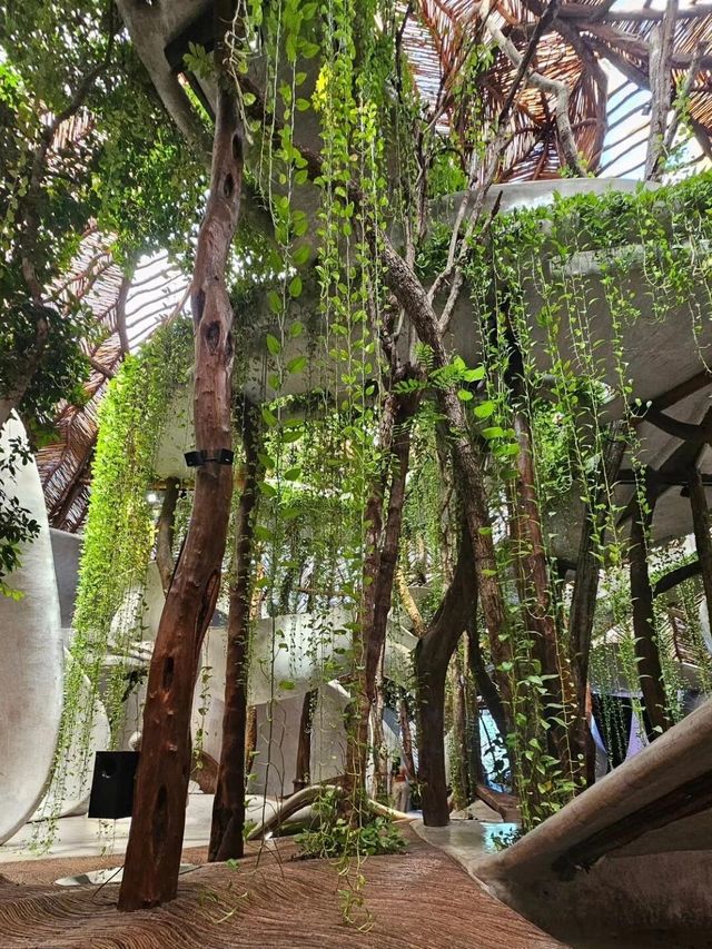 為了這家鳥巢餐廳專門飛了一趟Tulum…