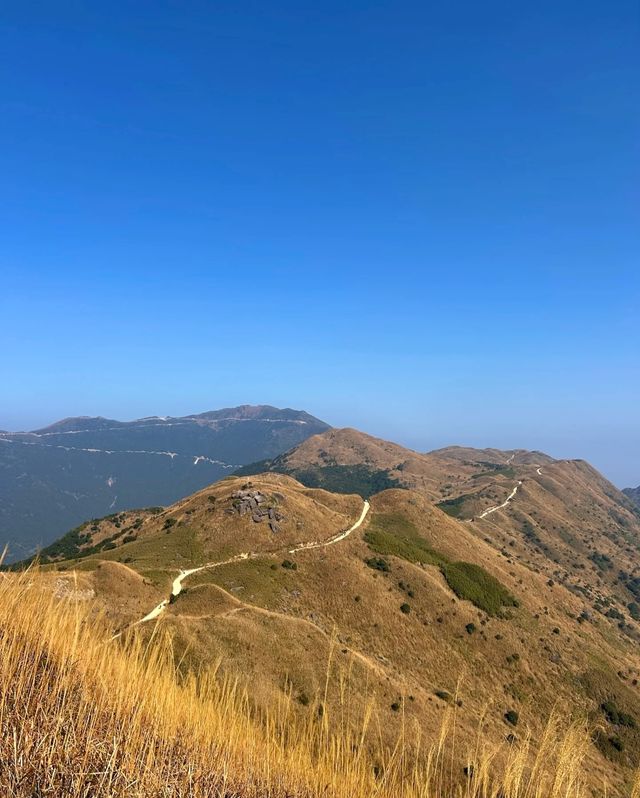 邂逅大南山，領略自然之美