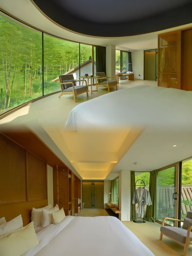 為了這個窗景，我住進了莫干山的山林竹海