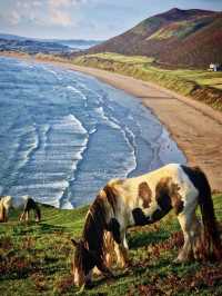 被權威蓋章的浪漫，Rhossili Bay 等你來