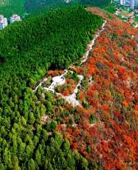 濟南蝎子山