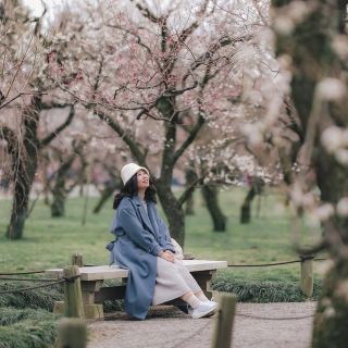 "Mito Kairakuen: A Poetic Dream Amongst a Thousand-Year-Old Plum Forest" 