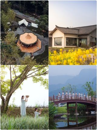 公司在這裡團建，而我只想退休