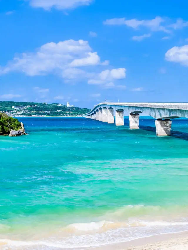 Celebrate the New Year in Japan and start the year off right!