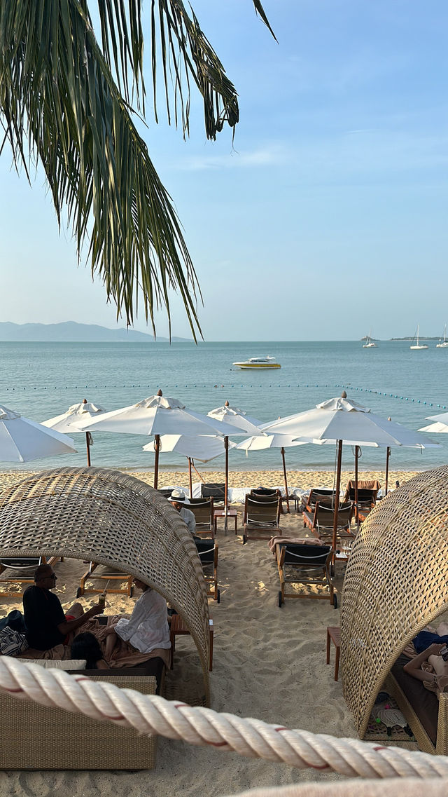 蘇梅島|波普安納塔拉度假酒店