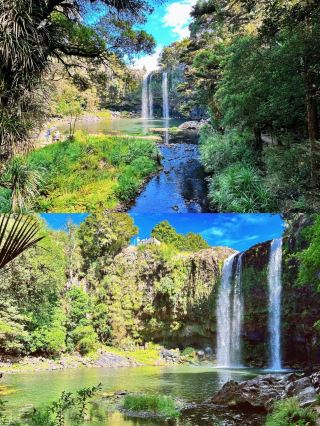 Explore Whangarei Falls: A Natural Gem on New Zealand's North Island