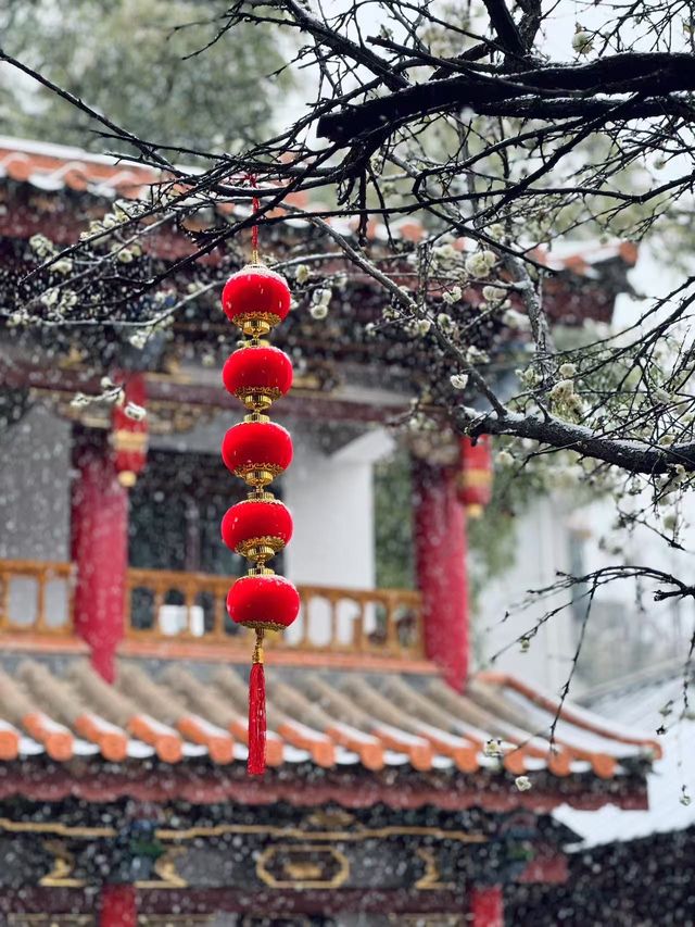 昆明限定雪景圓通禪寺