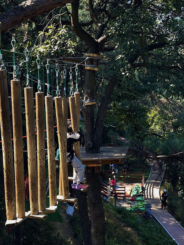 春節新玩法｜開年「撒野」體驗新不一樣的瘋狂
