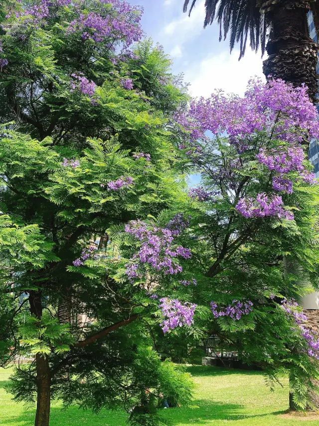 21-Day South Africa and Multi-Country Tour: A Must-See Guide