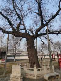 要上岸，來貢院