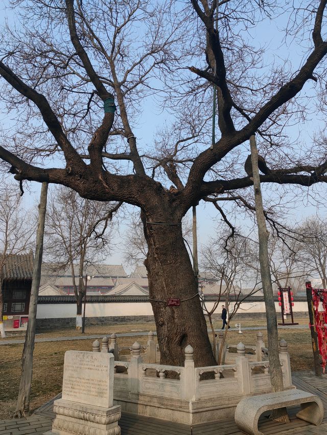 要上岸，來貢院