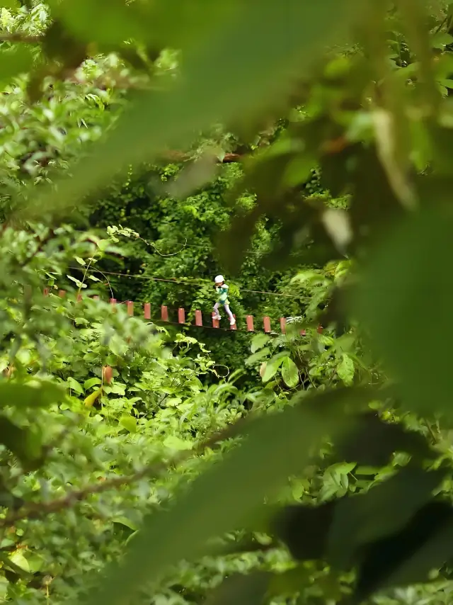 西雙版納雨林深處，這場叢林飛躍才是真刺激