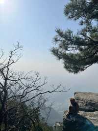 廬山2日遊超全攻略 玩轉不迷路