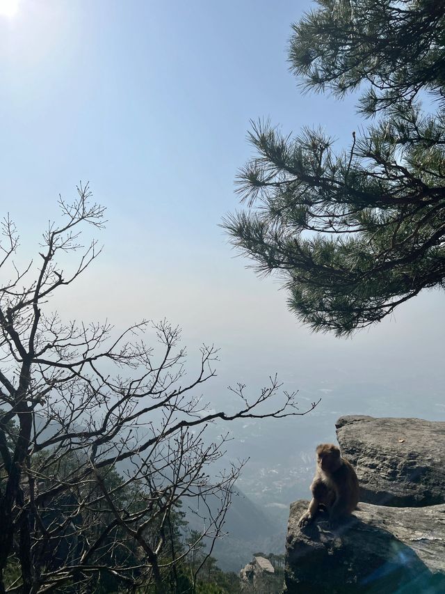 廬山2日遊超全攻略 玩轉不迷路 廬山2日遊超全攻略 玩轉不迷路
