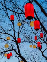 元宵賞燈會好去處，模式口大紅燈籠高高掛