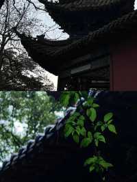 真正嘅哪吒原來喺四川翠屏山！！！