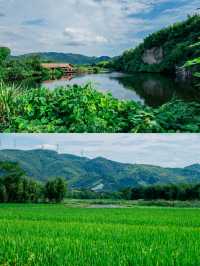 杭州小眾景點‖一日遊打卡避坑攻略