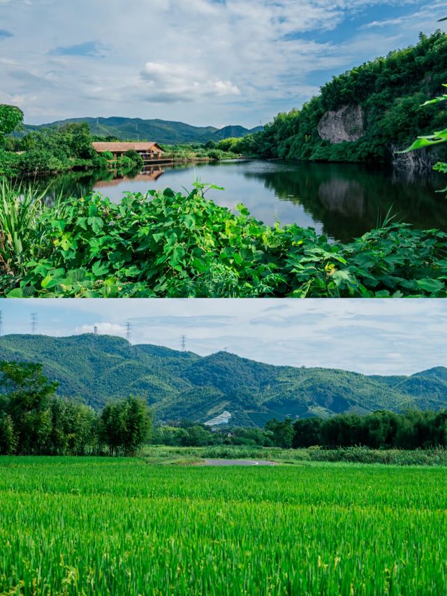 杭州小眾景點‖一日遊打卡避坑攻略