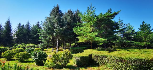 琿春•龍源公園