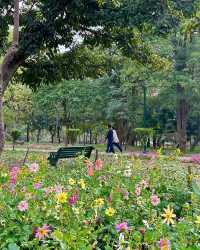 拉克什米維哈爾公園：印度賴布爾的自然綠洲