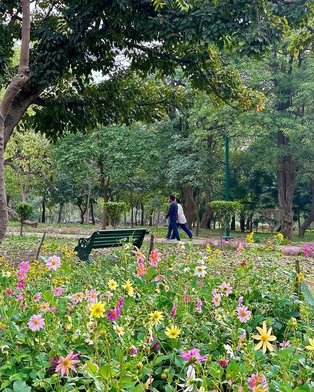 拉克什米維哈爾公園：印度賴布爾的自然綠洲