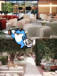 普羅夫迪夫百貨商店酒店 - 美憬閣,驚艷之旅