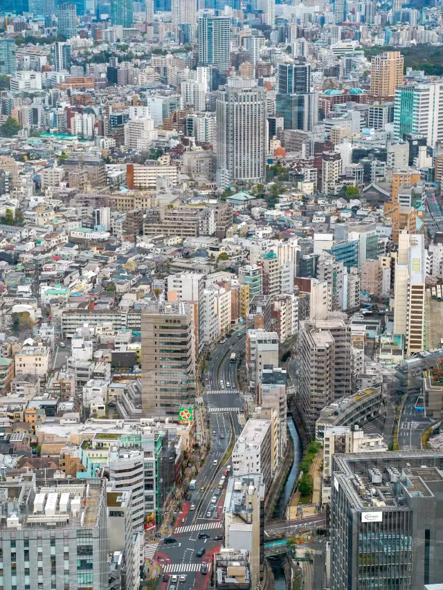 4日暢遊日本 超實用攻略來襲