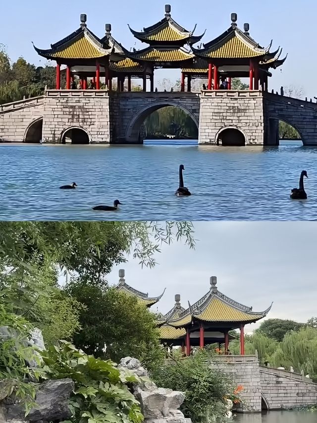 剛從揚州回來，全是真心話