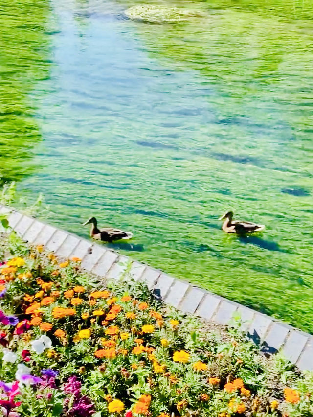  Canterbury London's backyard, Canterbury 💐 📍