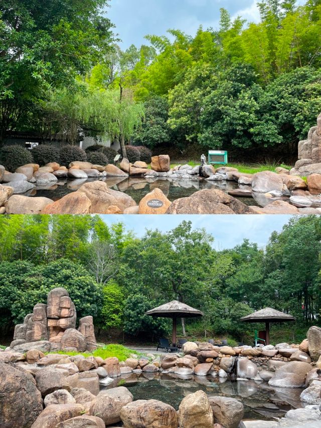 喺連城想無限續住嘅酒店，好治癒