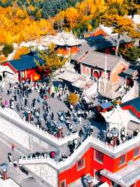 「秀容忻州」——晉北的文化沃土