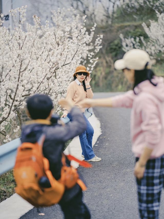 成都1.5小時直達官帽山 徒步挖野菜 太治癒了！