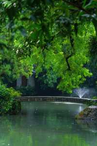 不輸蘇杭，陰雨天的廣州蘭圃美如畫～