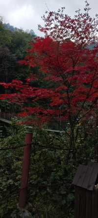 什邡-神瀑溝