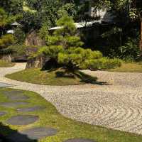 台北日常｜邂逅植物園的悠閒冬日🌳