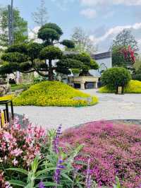 深圳筆架山體育公園 | 春日花箋