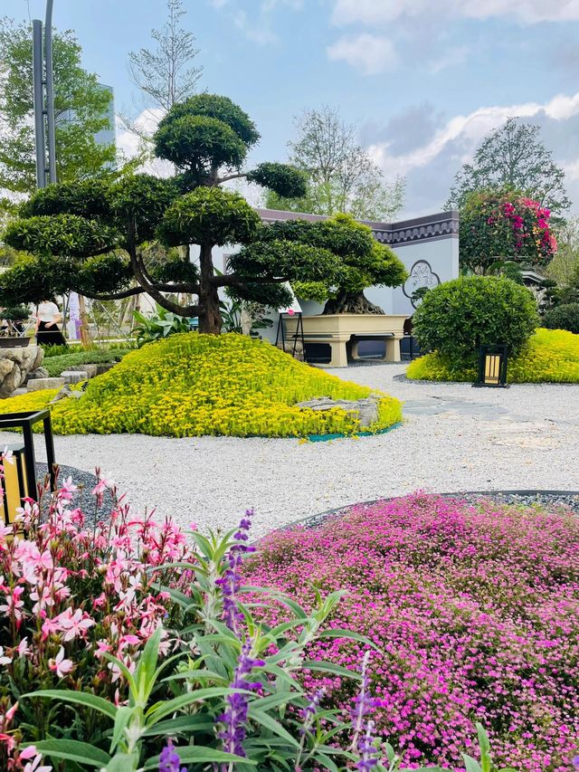 深圳筆架山體育公園 | 春日花箋