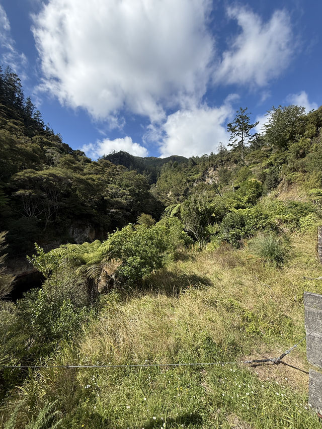 A Historical Mining Site Reclaimed By Nature, A Fascinating Hike