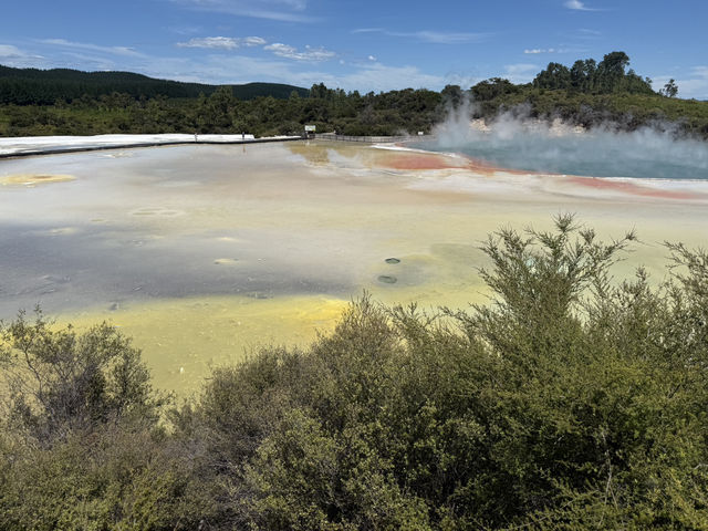 Nature Like You’ve Never Seen It Before, Like Another Planet