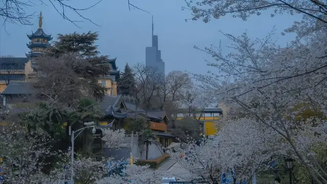 Top 10 Cherry Blossom Viewing Spots in China. How many have you been to?